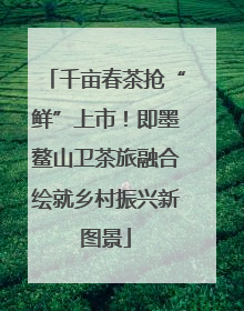 千亩春茶抢“鲜”上市！即墨鳌山卫茶旅融合绘就乡村振兴新图景