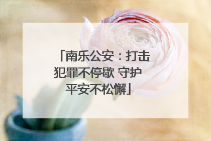 南乐公安：打击犯罪不停歇 守护平安不松懈