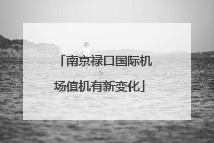 南京禄口国际机场值机有新变化