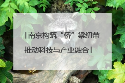 南京构筑“侨”梁纽带推动科技与产业融合
