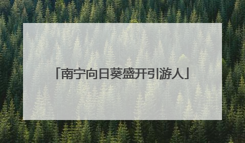 南宁向日葵盛开引游人