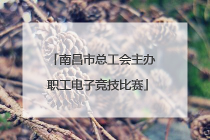 南昌市总工会主办职工电子竞技比赛