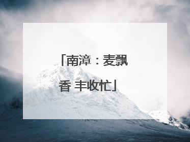 南漳：麦飘香 丰收忙