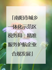 南阳市城乡一体化示范区税务局：精准服务护航企业合规发展