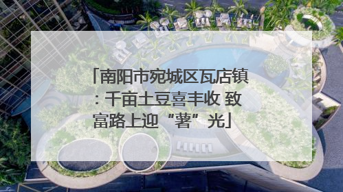 南阳市宛城区瓦店镇：千亩土豆喜丰收 致富路上迎“薯”光