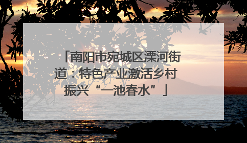 南阳市宛城区溧河街道：特色产业激活乡村振兴“一池春水”