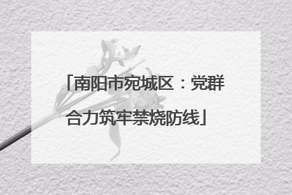 南阳市宛城区：党群合力筑牢禁烧防线