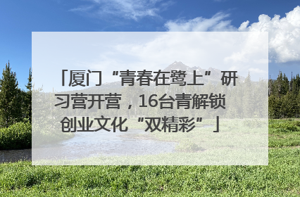 厦门“青春在鹭上”研习营开营，16台青解锁创业文化“双精彩”