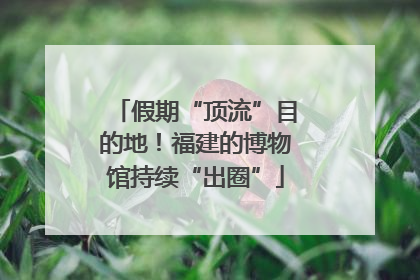假期“顶流”目的地！福建的博物馆持续“出圈”