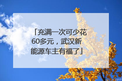 充满一次可少花60多元，武汉新能源车主有福了