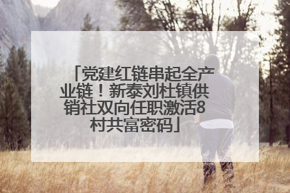 党建红链串起全产业链！新泰刘杜镇供销社双向任职激活8村共富密码