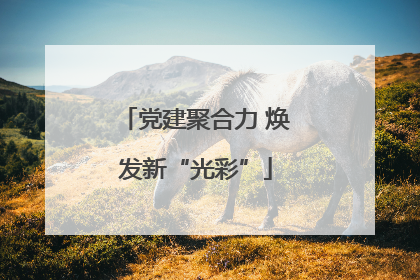 党建聚合力 焕发新“光彩”