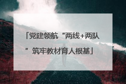 党建领航“两线+两队”筑牢教材育人根基