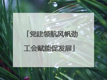 党建领航风帆劲 工会赋能促发展