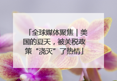 全球媒体聚焦｜美国的夏天，被关税政策“浇灭”了热情