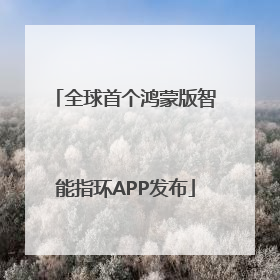 全球首个鸿蒙版智能指环APP发布