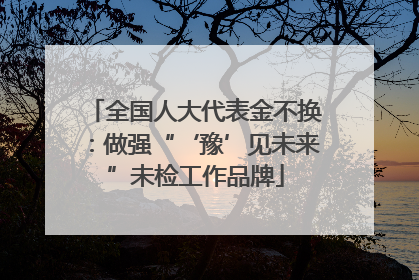 全国人大代表金不换：做强“‘豫’见未来”未检工作品牌