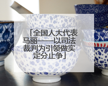 全国人大代表马丽——以司法裁判为引领做实定分止争