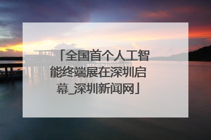 全国首个人工智能终端展在深圳启幕_深圳新闻网