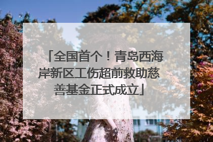 全国首个！青岛西海岸新区工伤超前救助慈善基金正式成立