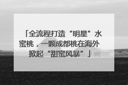 全流程打造“明星”水蜜桃，一颗成都桃在海外掀起“甜蜜风暴”
