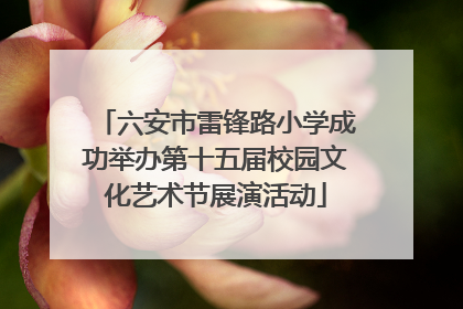 六安市雷锋路小学成功举办第十五届校园文化艺术节展演活动