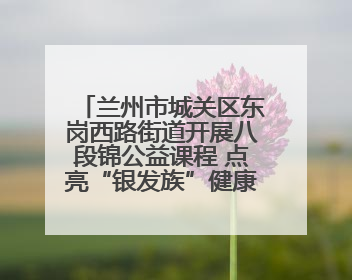 兰州市城关区东岗西路街道开展八段锦公益课程 点亮“银发族”健康活力生活