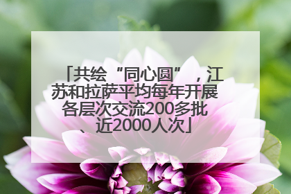 共绘“同心圆”，江苏和拉萨平均每年开展各层次交流200多批、近2000人次