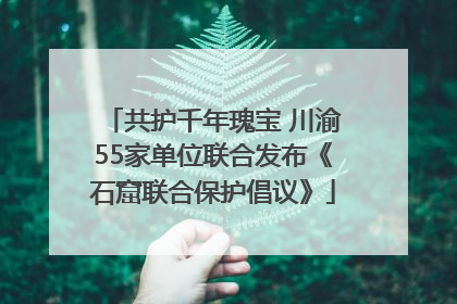 共护千年瑰宝 川渝55家单位联合发布《石窟联合保护倡议》