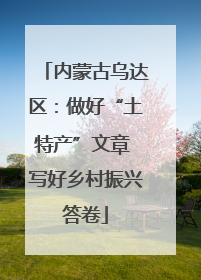 内蒙古乌达区：做好“土特产”文章 写好乡村振兴答卷