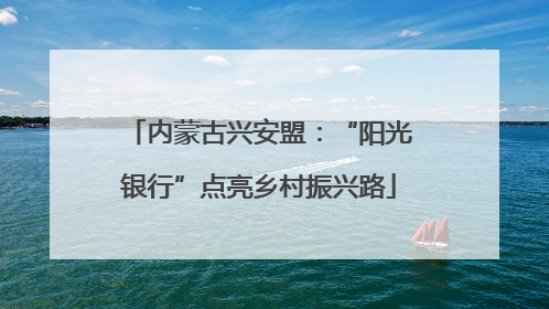内蒙古兴安盟：“阳光银行”点亮乡村振兴路