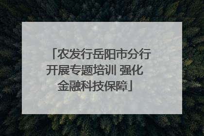 农发行岳阳市分行开展专题培训 强化金融科技保障
