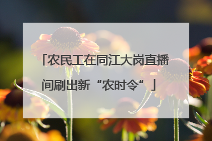 农民工在同江大岗直播间刷出新“农时令”