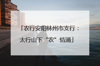 农行安阳林州市支行：太行山下“农”情涌