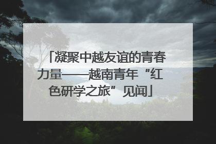 凝聚中越友谊的青春力量——越南青年“红色研学之旅”见闻