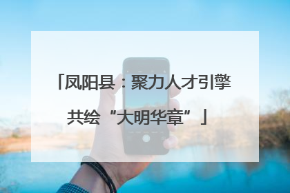 凤阳县：聚力人才引擎 共绘“大明华章”