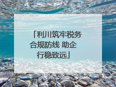 利川筑牢税务合规防线 助企行稳致远