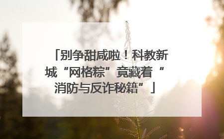 别争甜咸啦！科教新城“网格粽”竟藏着“消防与反诈秘籍”