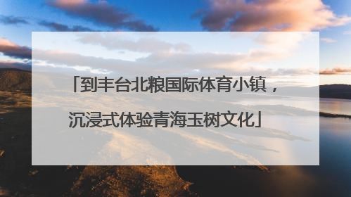 到丰台北粮国际体育小镇，沉浸式体验青海玉树文化