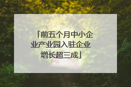 前五个月中小企业产业园入驻企业增长超三成