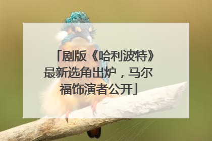 剧版《哈利波特》最新选角出炉，马尔福饰演者公开