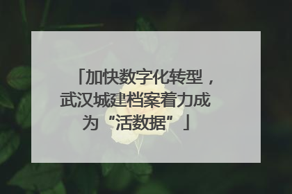 加快数字化转型，武汉城建档案着力成为“活数据”