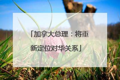 加拿大总理：将重新定位对华关系