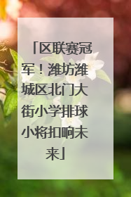 区联赛冠军！潍坊潍城区北门大街小学排球小将扣响未来