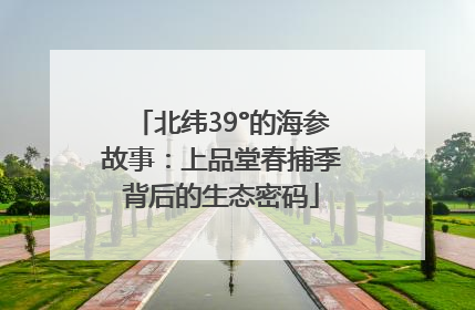 北纬39°的海参故事：上品堂春捕季背后的生态密码