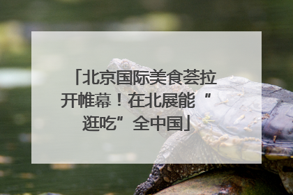 北京国际美食荟拉开帷幕！在北展能“逛吃”全中国