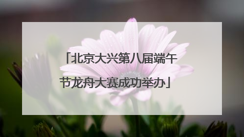 北京大兴第八届端午节龙舟大赛成功举办