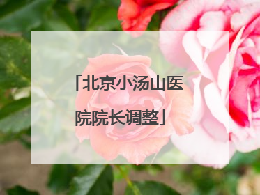 北京小汤山医院院长调整