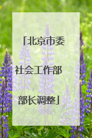 北京市委社会工作部部长调整