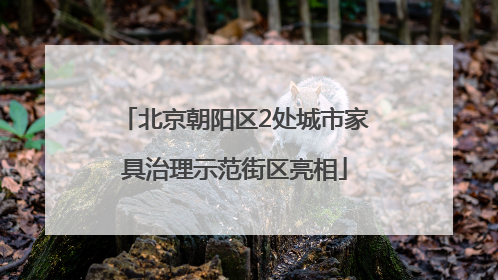 北京朝阳区2处城市家具治理示范街区亮相